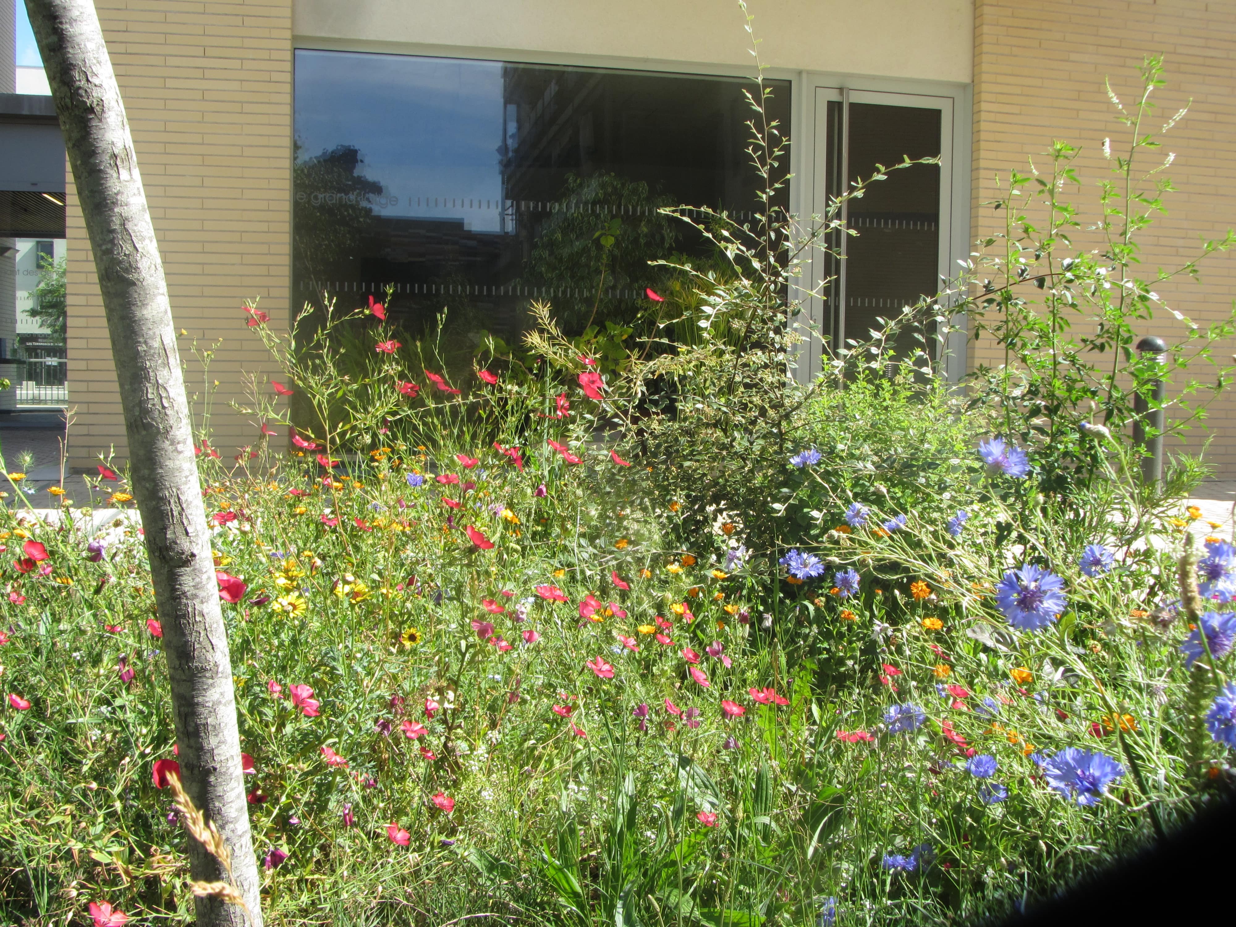 image jardinenfleursmin.jpg (1.6MB)